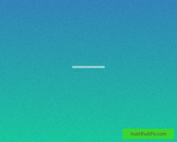 华体会代理加盟助力体育产业发展开启财富新机遇